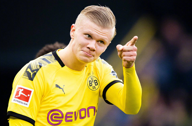 官方：前狮吼主帅罗斯·阿洛伊西执教浙江队，曾任穆斯卡特助教（浙江队官宣罗斯·阿洛伊西出任主帅：前狮吼主帅，曾任穆斯卡特助教）